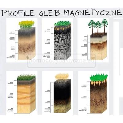 PROFILE GLEB - zestaw magnetyczny, tablicowy