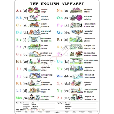 The English Alphabet (Alfabet) - Plansza dwustronna 2 w 1